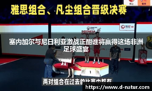塞内加尔与尼日利亚激战正酣谁将赢得这场非洲足球盛宴